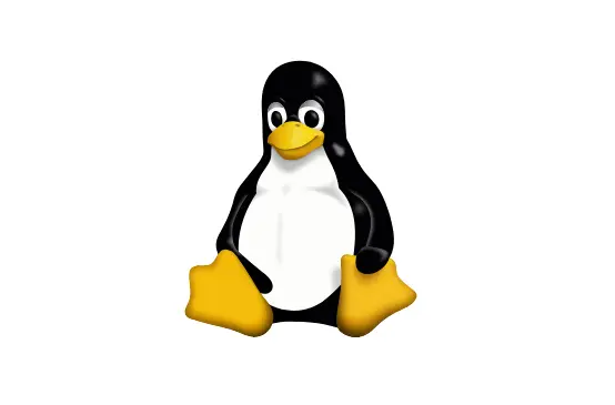 [Khusus Pemula] 20+ Perintah Dasar Linux yang Wajib Dikuasai + Gambar