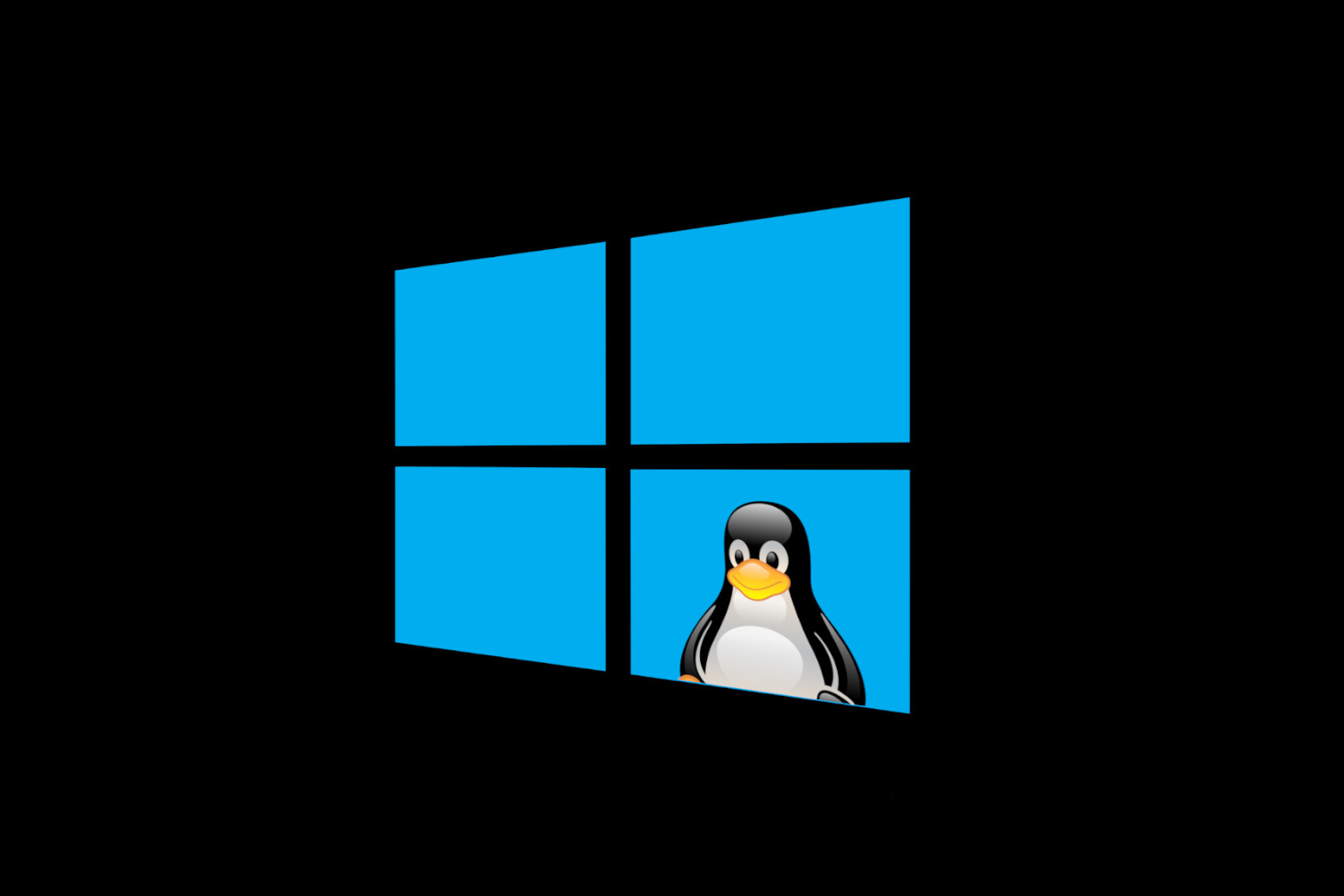 Manfaat Install Linux Dual Boot Windows